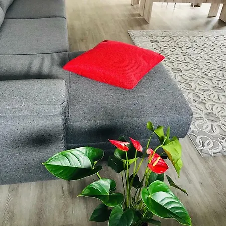 Apartment Lux *